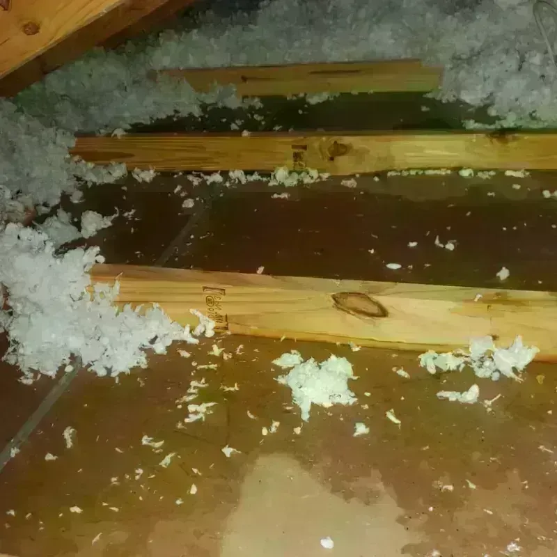 Attic Water Damage in Desert Hills, AZ