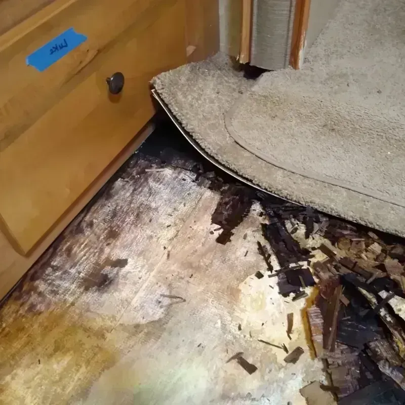 Wood Floor Water Damage in Desert Hills, AZ